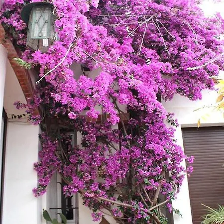 לינה וארוחת בוקר Domaine Saint Nicolas *